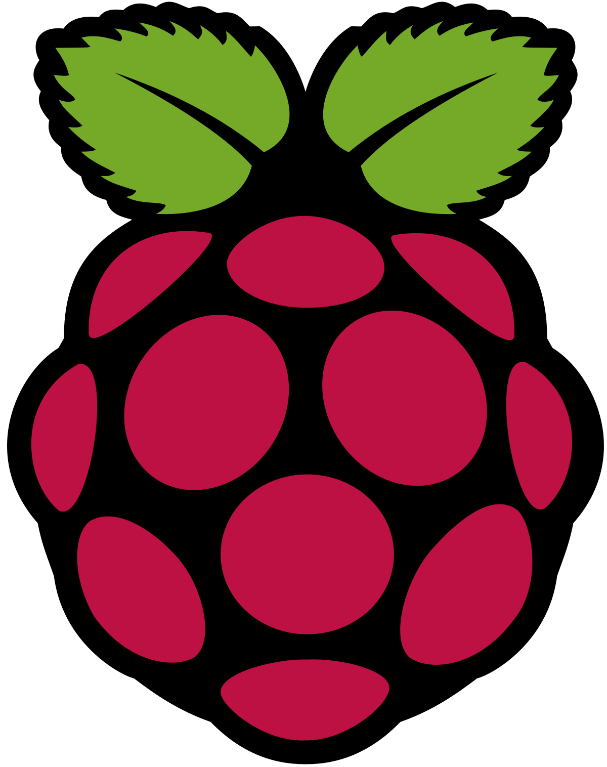 1200px-Raspberry_Pi_Logo.svg.png