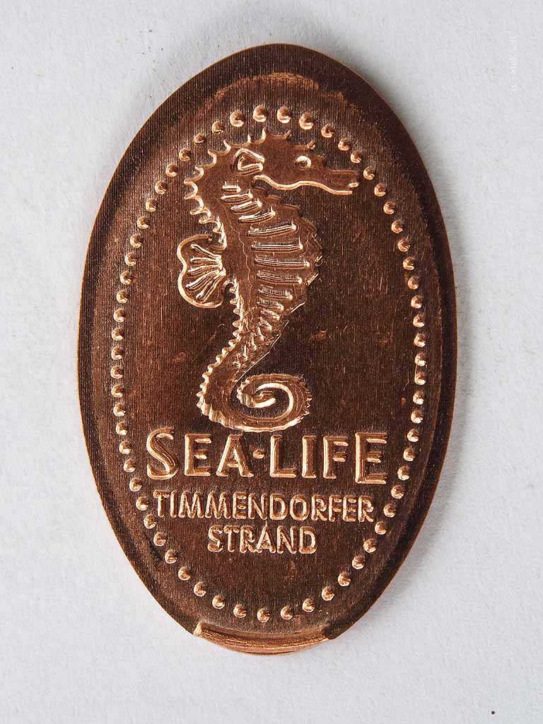 timmendorf_sealife_m3.jpg